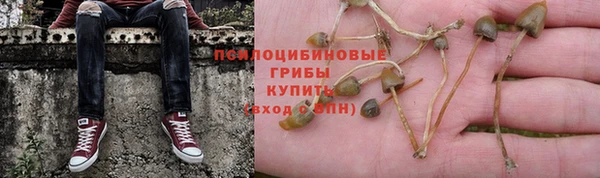 герыч Елизово