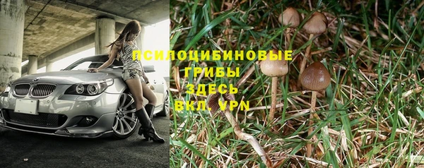 гашик Заводоуковск