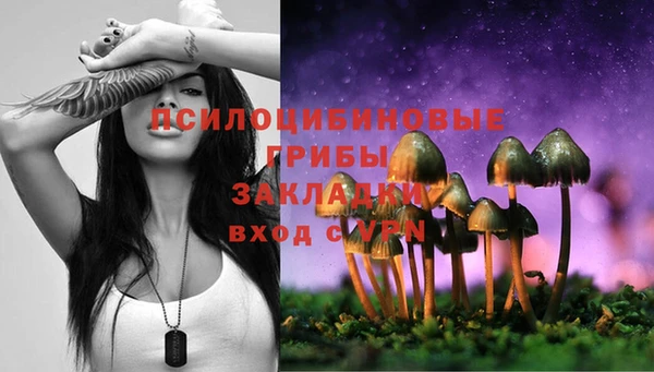 метадон Заволжск