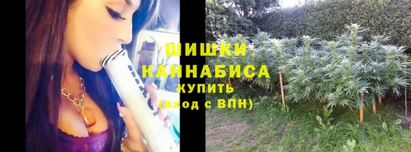 метадон Заволжск